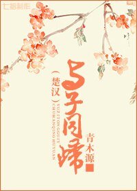 (BG/楚漢同人)與子同歸